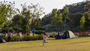 The extensive central lawns provide a valuable opportunity for children to run around and play on soft grass. It is also a popular location for the blooming trend of camping too.